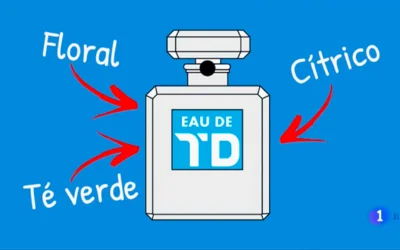 ¿A qué huele el Telediario? Beneficios del marketing olfativo para tu marca